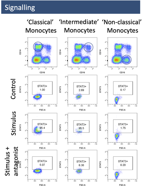 Celentyx | Immunology CRO | Assays | Flow Cytometry