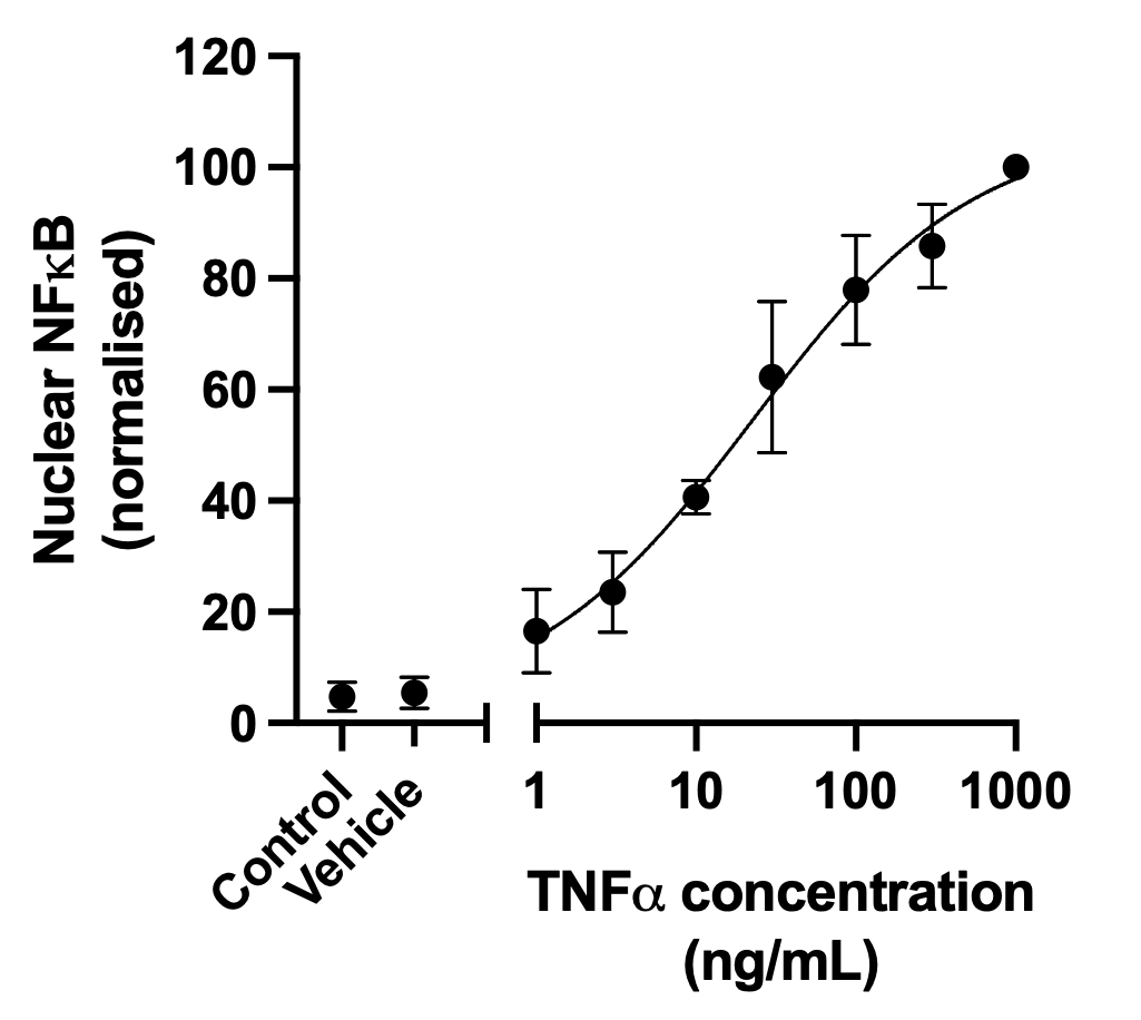 NFkB translocation - microglial activation