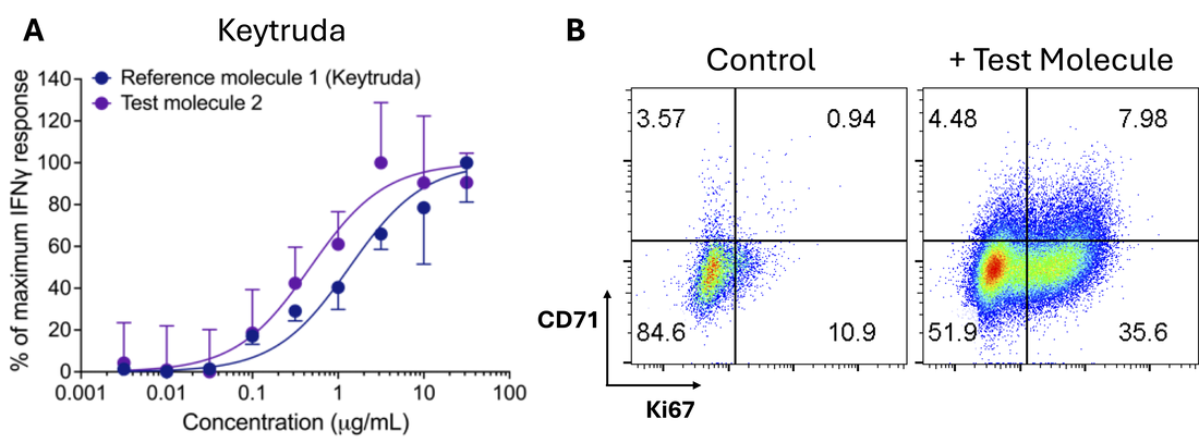 Reversal of T cell exhaustion by Keytruda