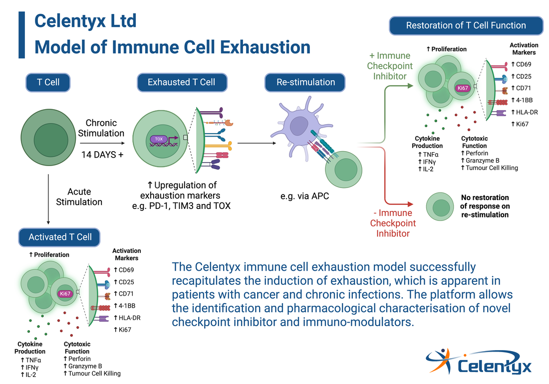 Celentyx model of immune cell exhaustion