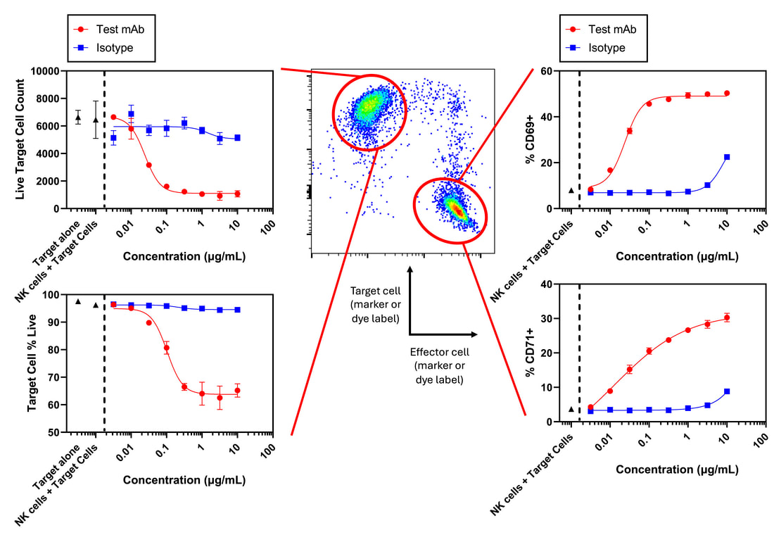 Assays for antigen-specific T cell responses